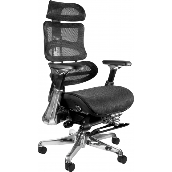 Fotel obrotowy ergonomiczny ERGOTHRONE Z PODNÓŻKIEM Podstawowe (1)