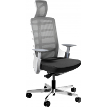 Fotel obrotowy ergonomiczny SPINELLY Podstawowe (1)