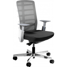 Fotel obrotowy ergonomiczny SPINELLY M Podstawowe (1)