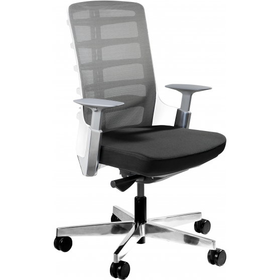 Fotel obrotowy ergonomiczny SPINELLY M Podstawowe (1)