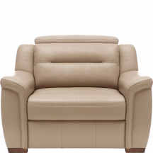 Fotel SALMO Podstawowe