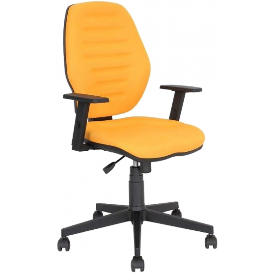 Fotel obrotowy biurowy MASTER 10 TS25 CPT Podstawowe (1)