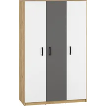 Szafa 3D 02 FINI Podstawowe (1)