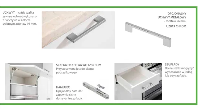 6 Layman ecoModel opis 02